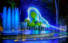 holiday lights at botanical garden