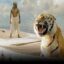 Life Of PI