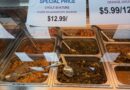 indiaco $12 thali